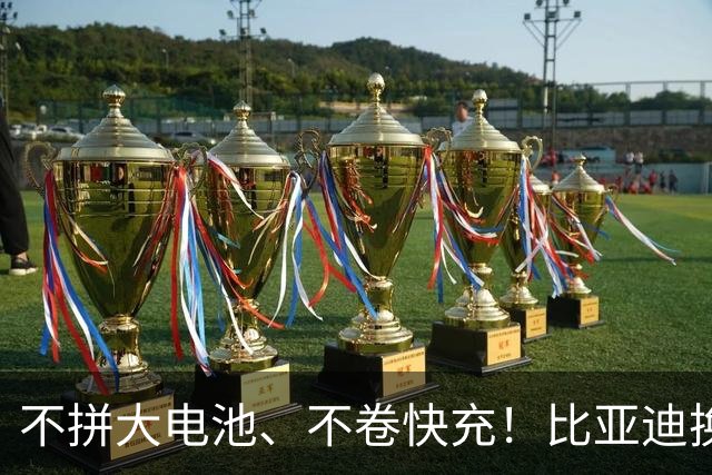 不拼大电池、不卷快充！比亚迪换赛道，两大黑科技量产上车