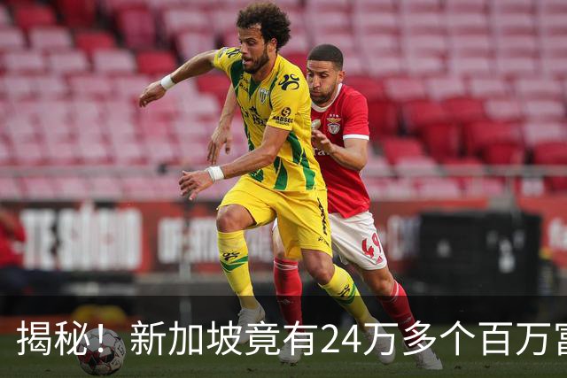 揭秘！新加坡竟有24万多个百万富翁！为什么你买份鸡饭，还要犹豫半天？