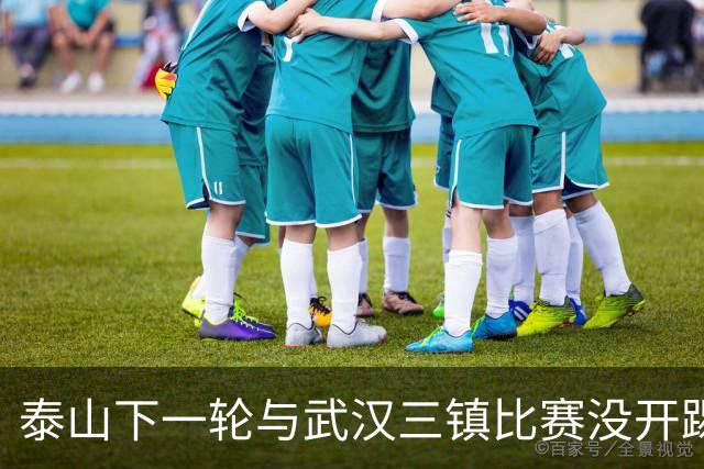 泰山下一轮与武汉三镇比赛没开踢，主力门将王大雷在社媒官宣喜讯