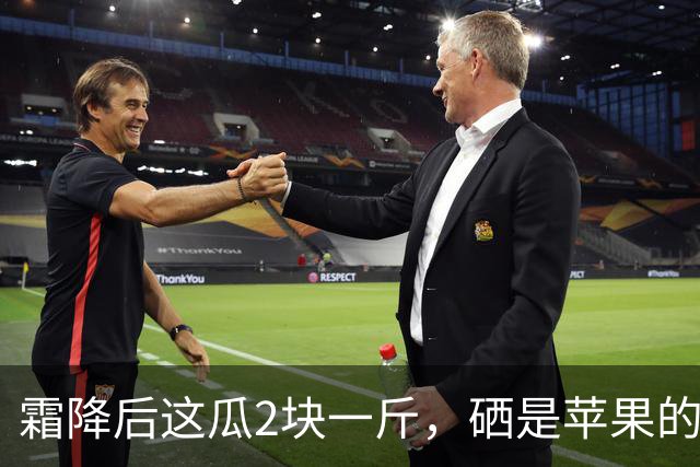霜降后这瓜2块一斤，硒是苹果的14.5倍，几乎不打农药，很多人嫌它“长相怪”不懂吃